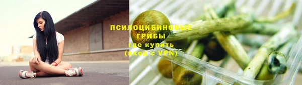 ПСИЛОЦИБИНОВЫЕ ГРИБЫ Новокубанск